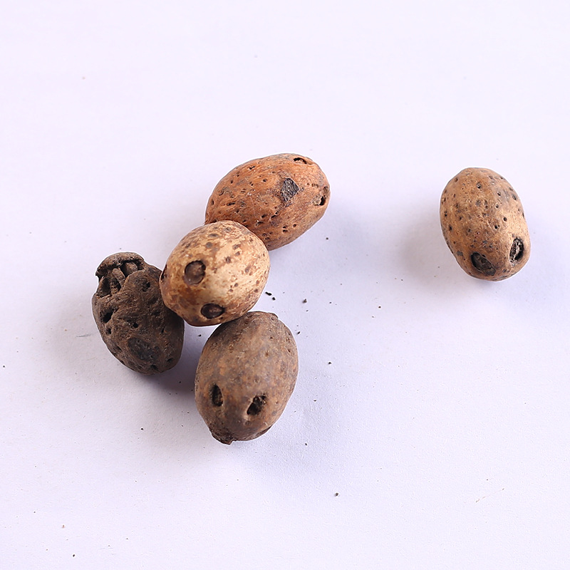 南酸枣种子 酸枣树 货郎果 四眼果 山枣树 鼻涕果 五眼果树种籽