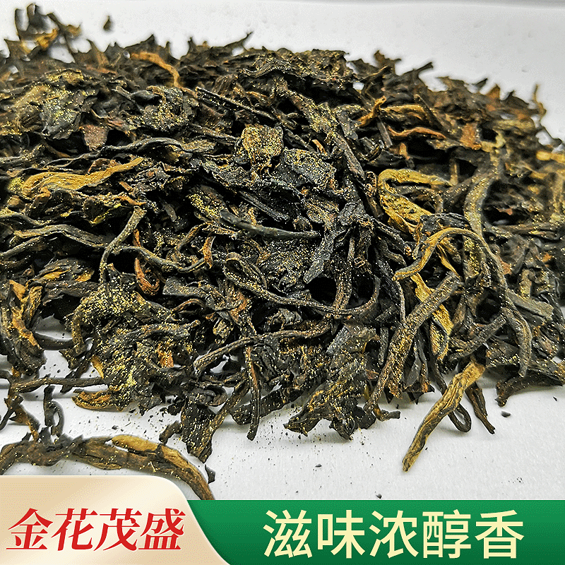 郁江 六堡茶 汤色陈香纯茶味油润