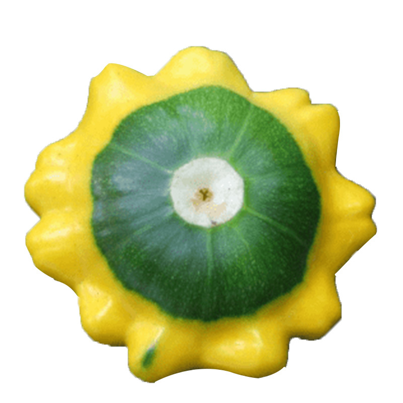 玩具迷你种子濑福禄寿瓜种籽玩偶南瓜飞碟瓜春季盆栽家庭园艺种子