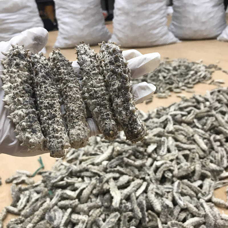 【惠尔本】印尼原刺参白刺参 刺王白刺参 淡干海参 海参干货