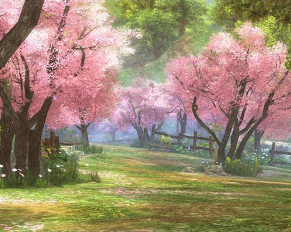 粉红色樱花树花园森林公园绿植风景钻石画