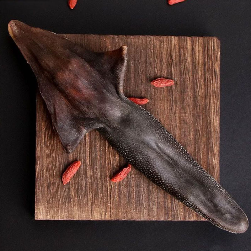 鹿尾巴正品男性鹿尾干精吉林骨切片炖汤鹿鞭泡酒吉林梅花鹿尾新鲜