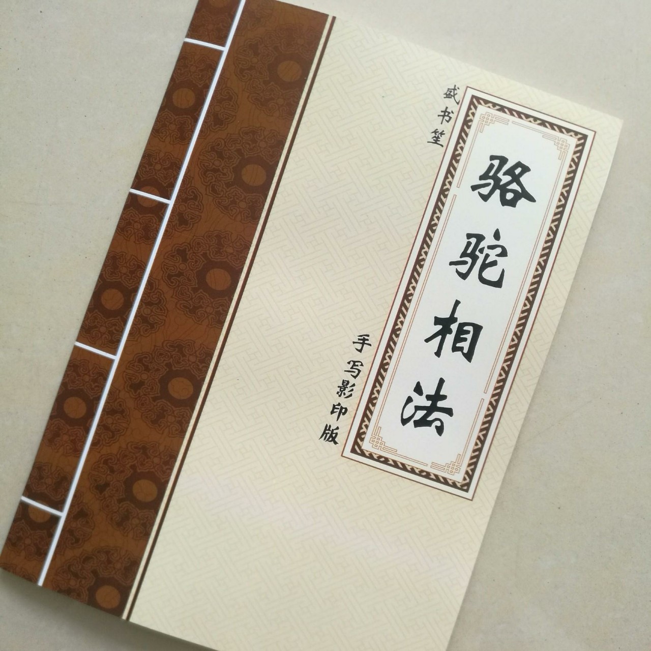 骆驼相法 又名:太极相法 盛书笙稿 手写笔记资料现货