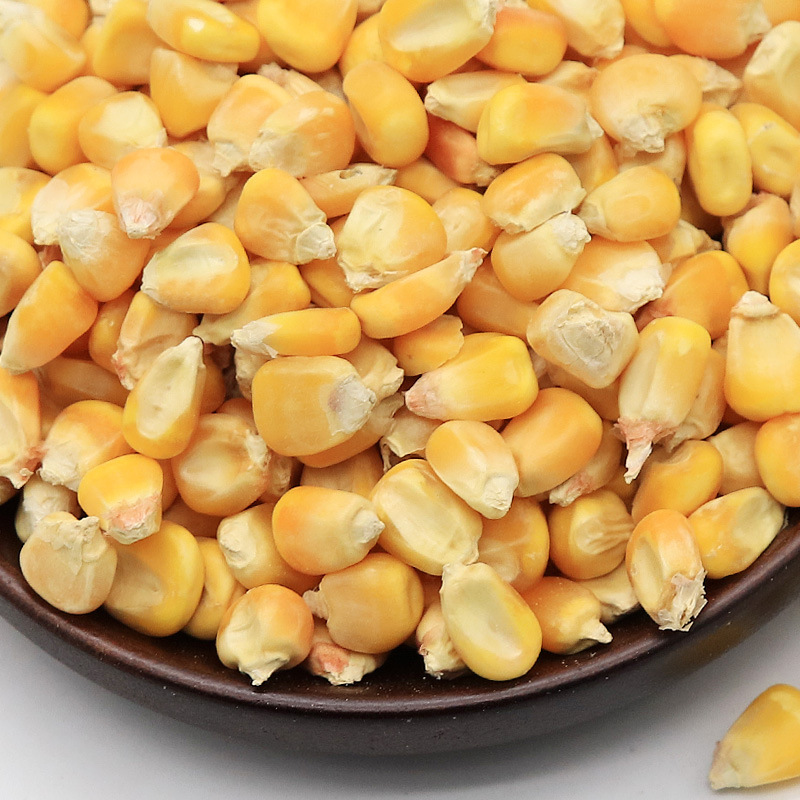 玉米粒金丝熊仓鼠用品仓鼠粮仓鼠粮食饲料五谷杂粮磨牙零食100g