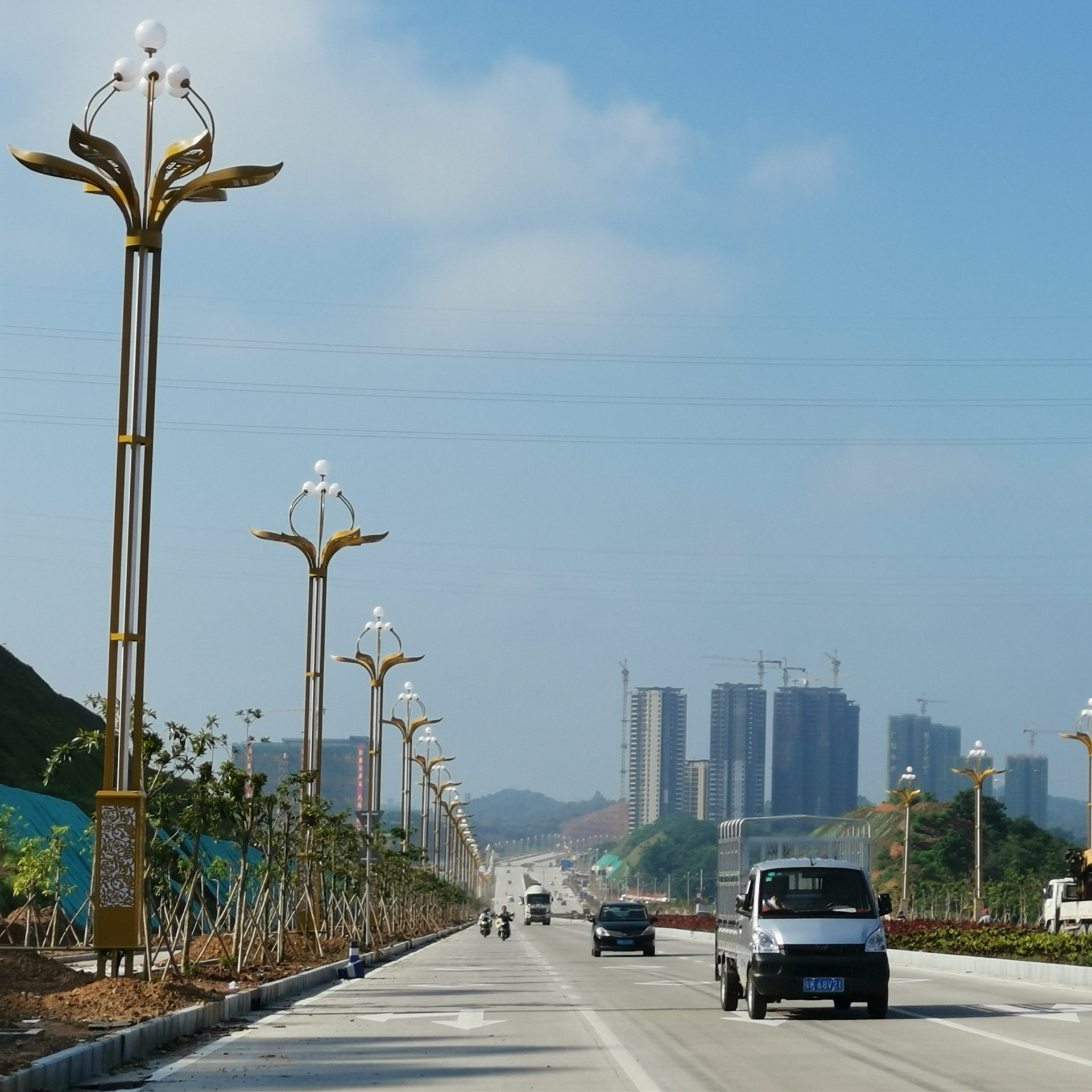 供应批发12米中华灯 50wled中华灯 led中华灯球罩 景观玉兰组合灯