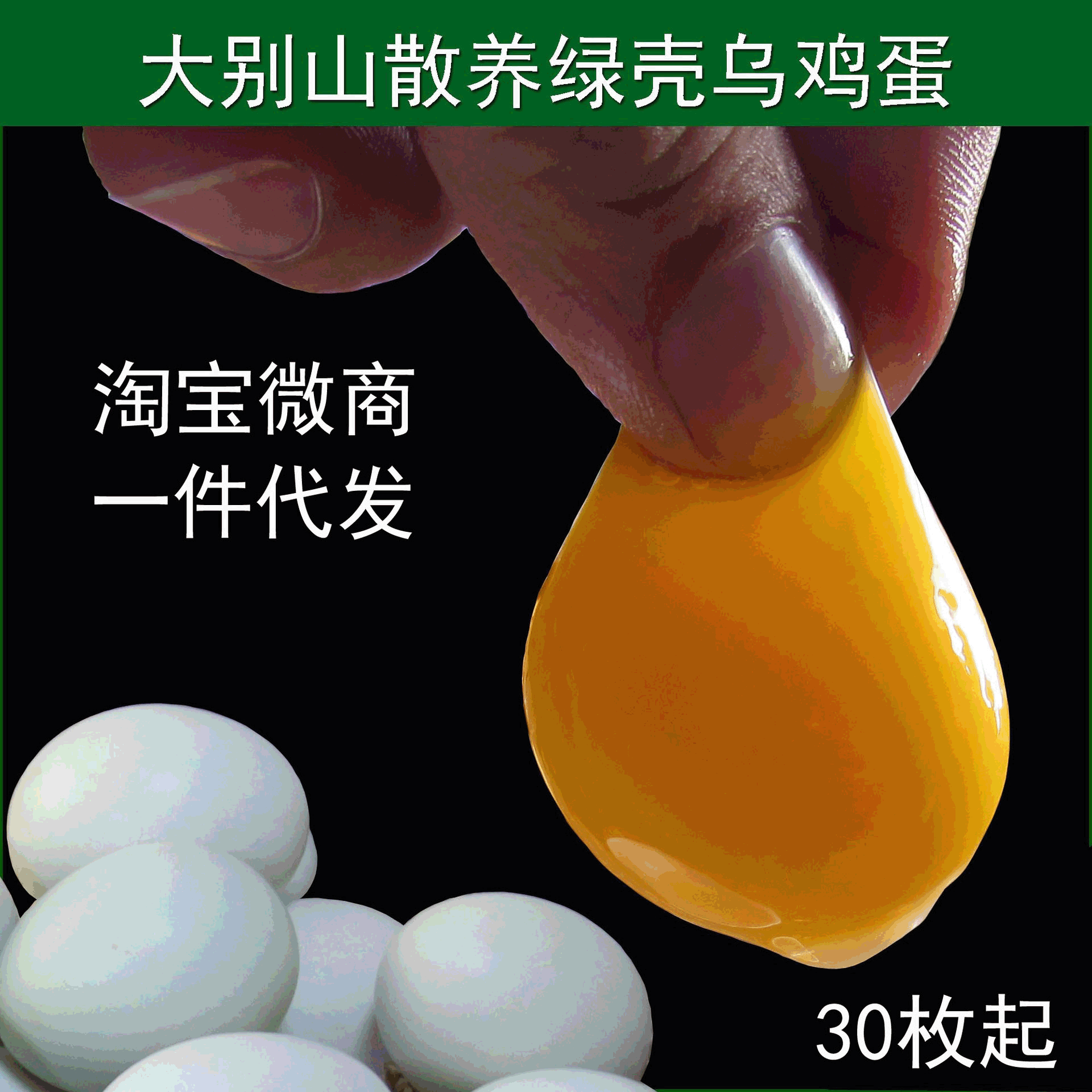 全年 简装系列 鸡蛋绿壳蛋批发零售