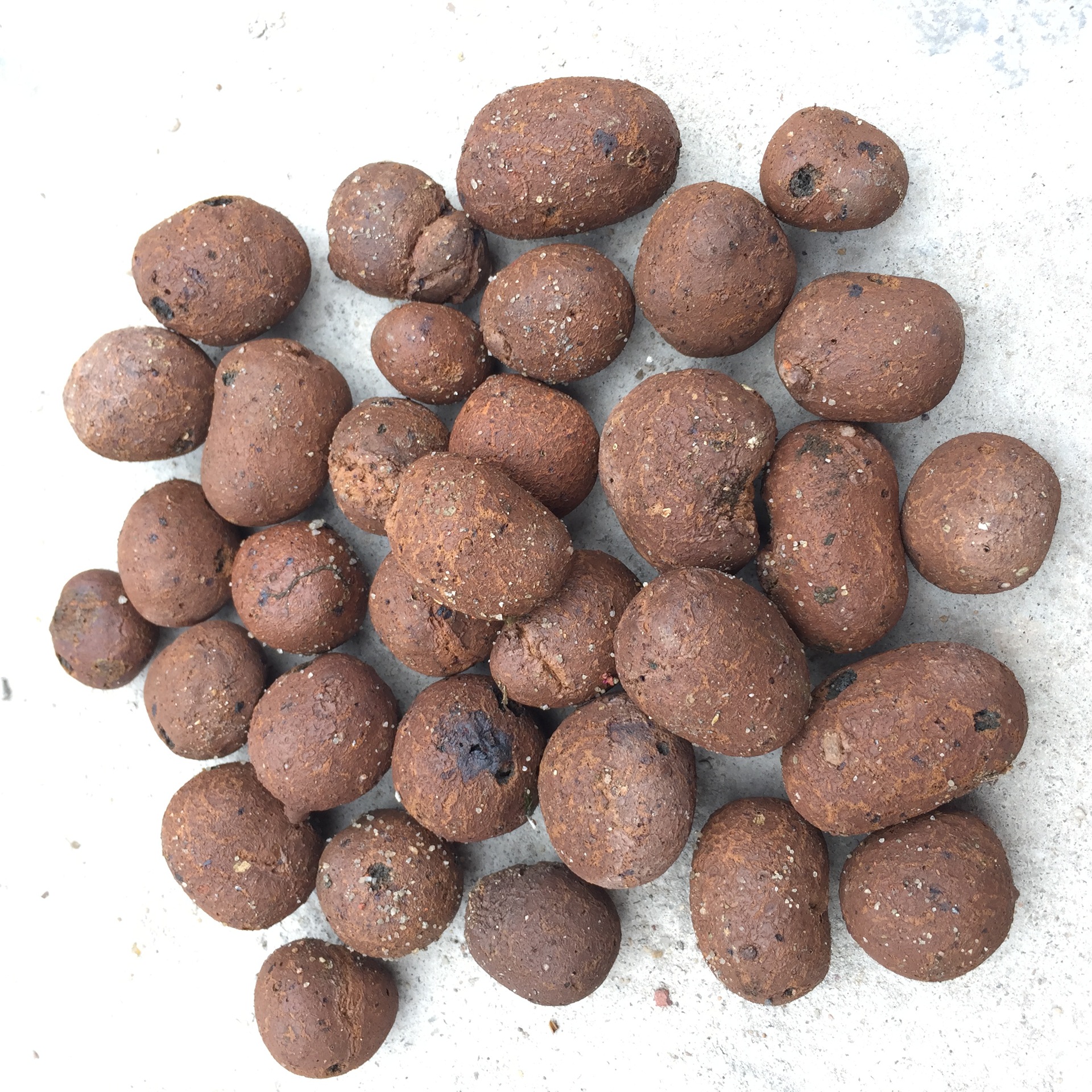 厂家直供园林绿化陶粒工程建筑厕所回填陶粒无土栽培透气防烂根