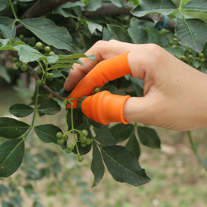 拇指采摘器摘花椒掐尖器摘菜铁指甲掐葡萄尖刀拇指刀厂家批发