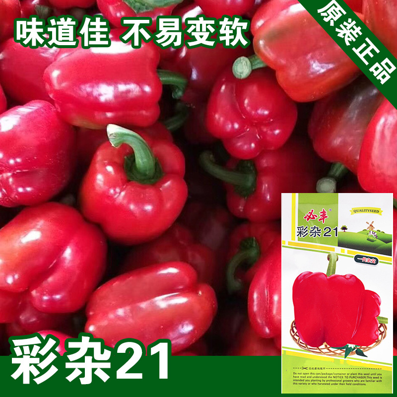 红甜椒种子甜椒籽子蔬菜种子菜籽菜种瓜果蔬菜种子批发种子批发