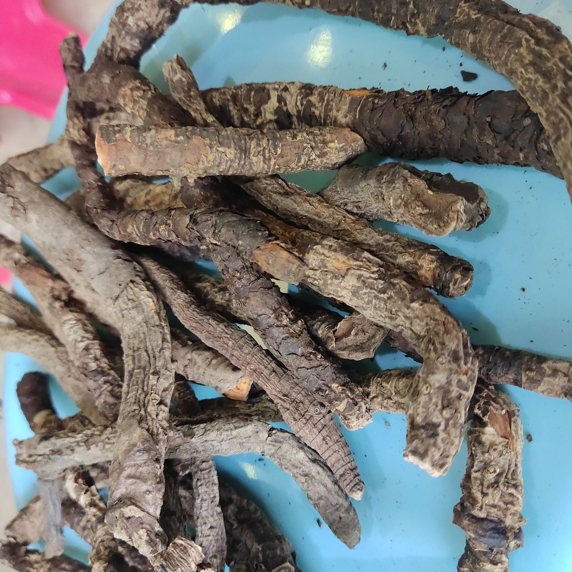 血三七xiesanqi 安徽六安 6月产新 35每公斤 包邮 竹黄 苦竹花