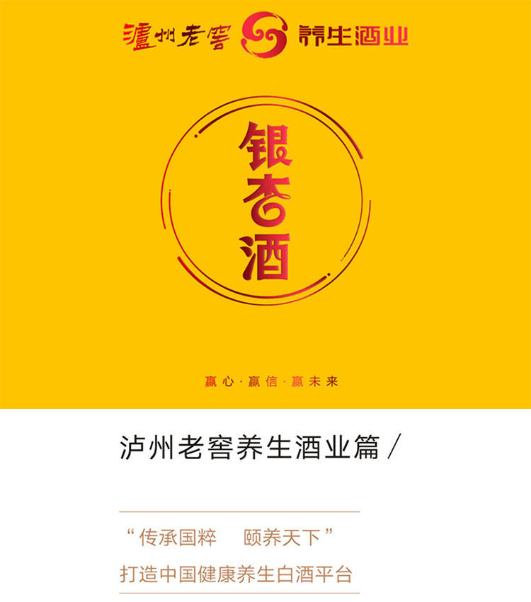 泸州老窖 银杏酒礼盒装白酒婚宴送礼42度500ml露酒 银真