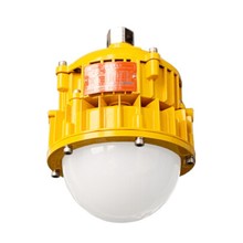 BPC8767 LED防爆平台灯  50W吸顶安装