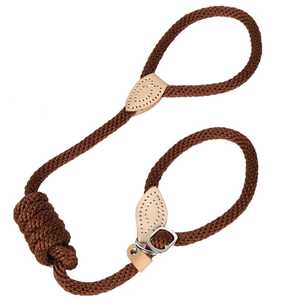 厂家直供高品质 户外新款公园遛狗狗链宠物狗绳 防丢失狗狗牵引绳