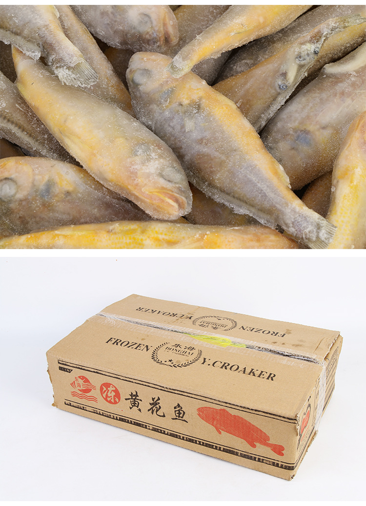 冻黄花鱼 单冻 黄花鱼 口感鲜美 个头均匀 东海小黄鱼