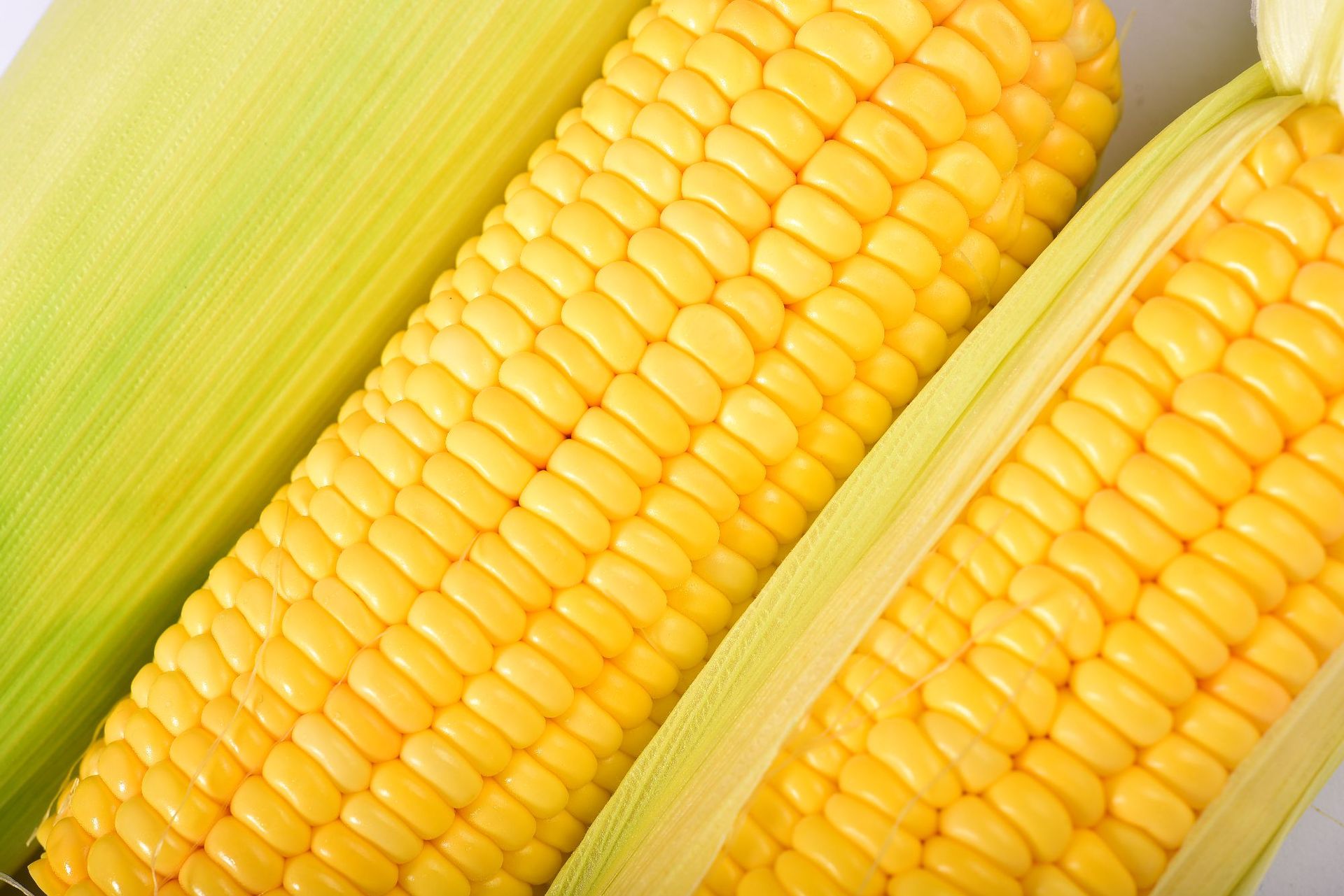 广西水果玉米棒新鲜甜玉米230gx2根基地厂家直批即食真空粗粮代餐