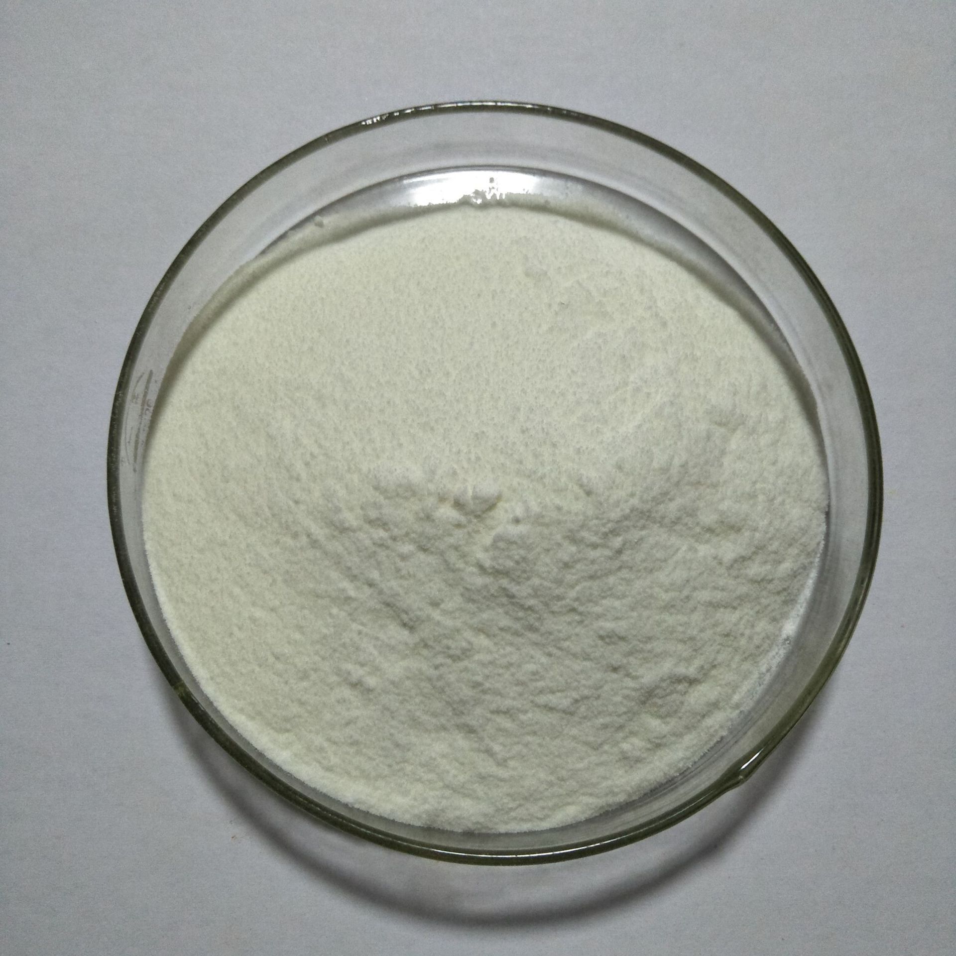 蜂胎盘冻干粉 蜂胎盘冻干粉 蜂胎盘粉 现货供应1kg起订