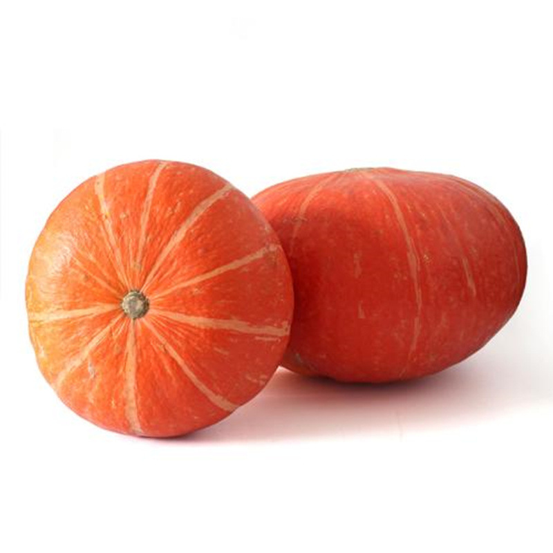 精选红蜜南瓜种子 甜蜜红板栗小南瓜种子 橙红色 口感好 老瓜粉面