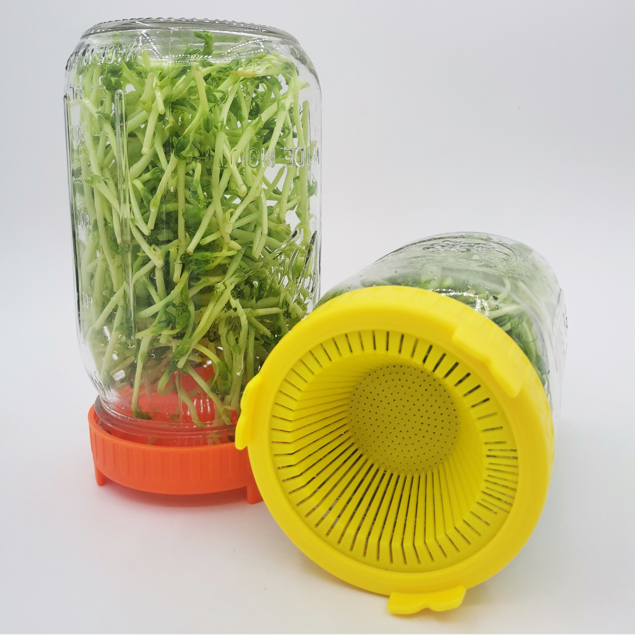 Mason Jar Germination Cover Wide Mouth Split Cover Pp Food Grade Mason Cup Planting Cover Ball Mason Bottle Lid