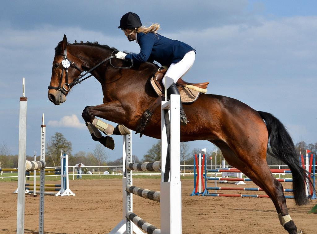 马术障碍训练跳马跳杆托杆马房马具障碍条标马术场地竞技障碍杯托