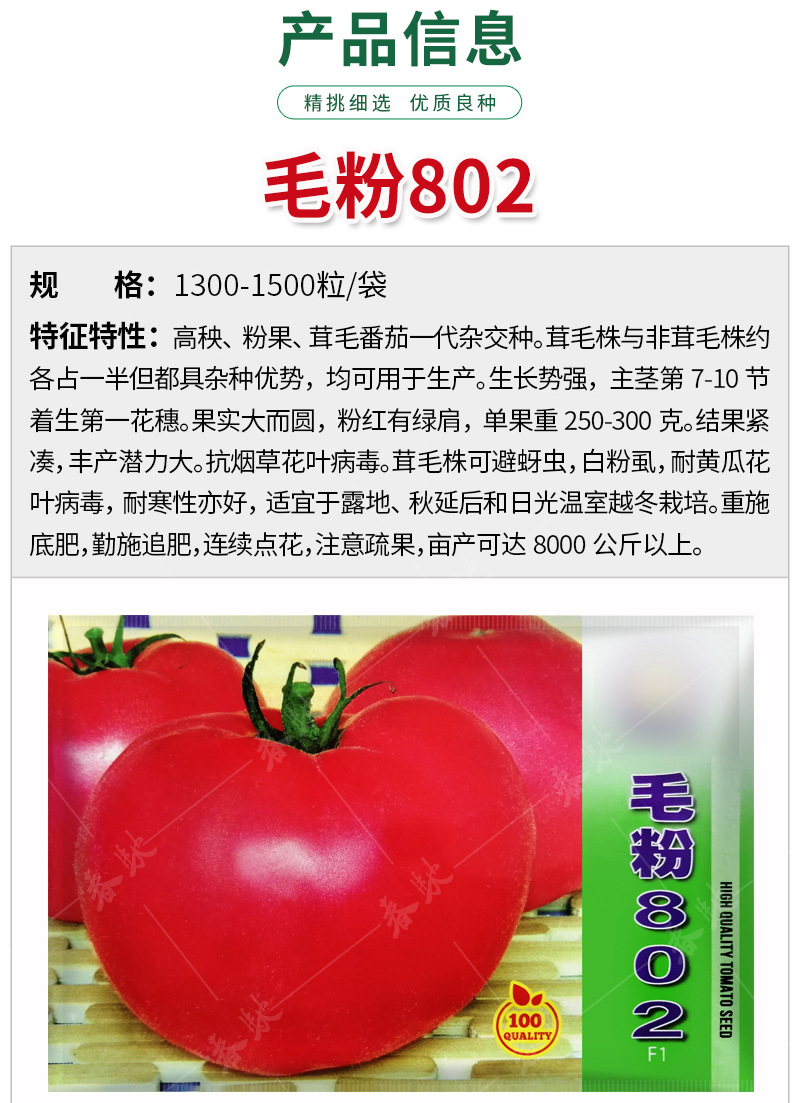 毛粉802番茄种子 1300粒 杂交粉果西红柿籽 沙瓤农田菜园蔬菜种籽