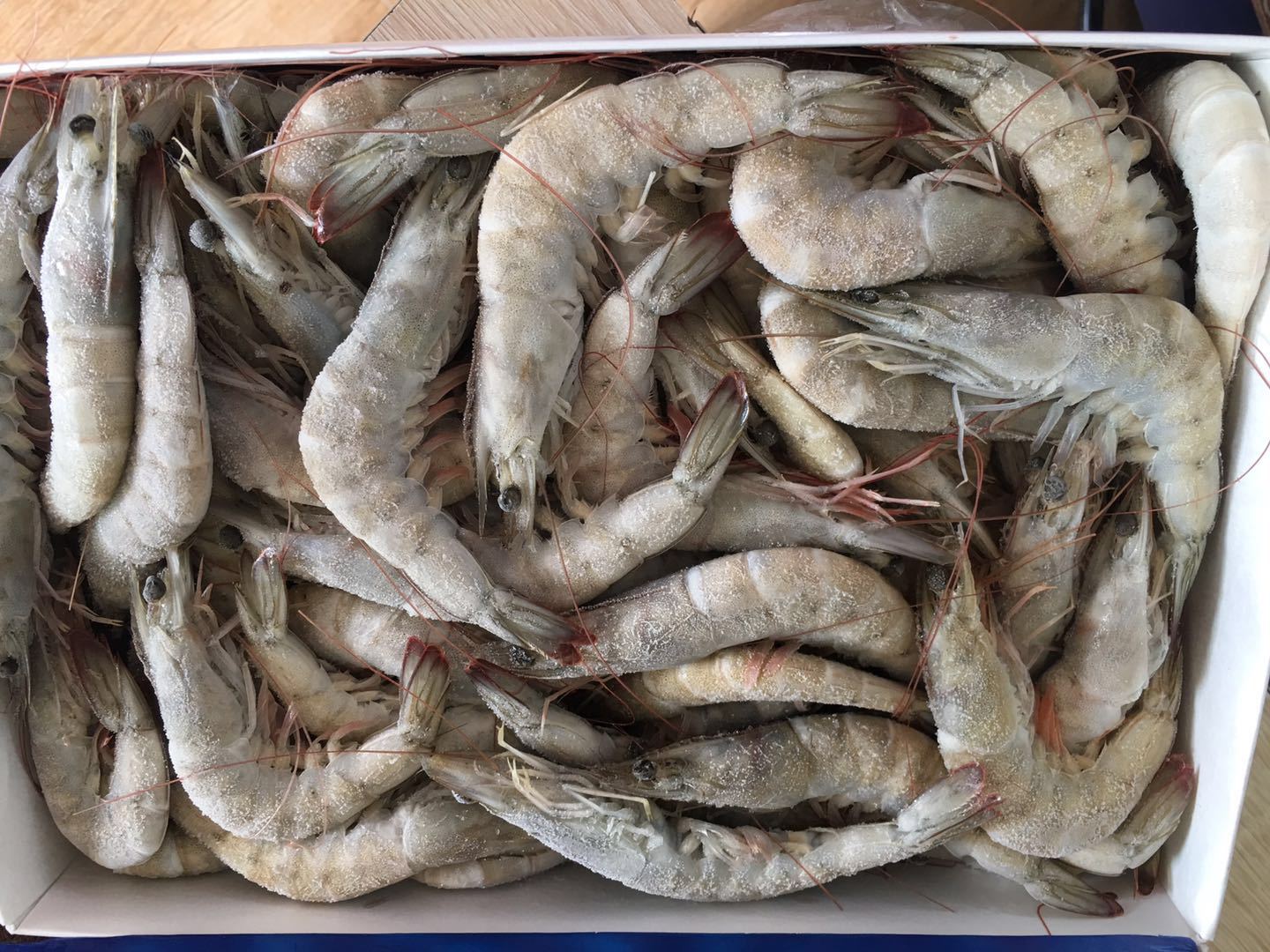 厄瓜多尔白虾南美地区白对虾40-50老船长(盐冻)