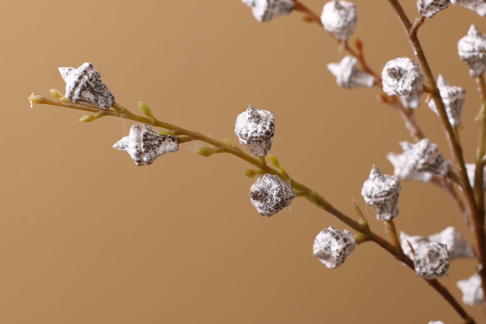 仿真尤加利果 ins北欧仿真果桉树果摄道具家居装饰树枝仿真花果实