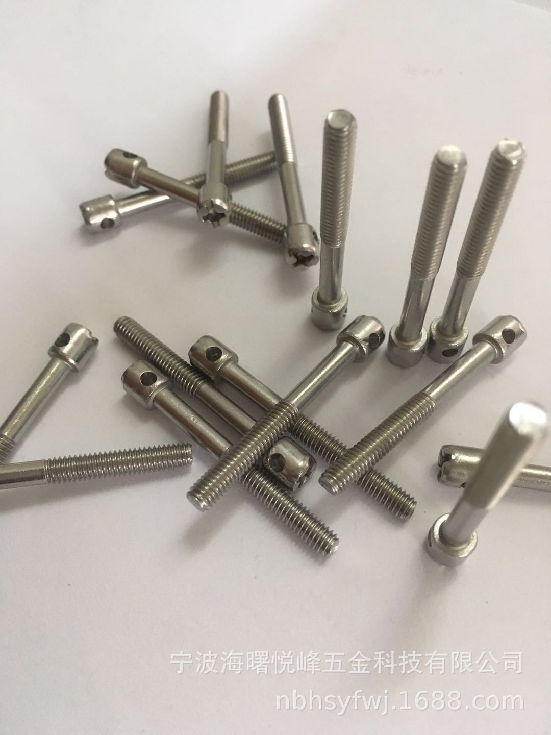 不锈钢304打孔电表螺丝铅封螺丝水表螺丝