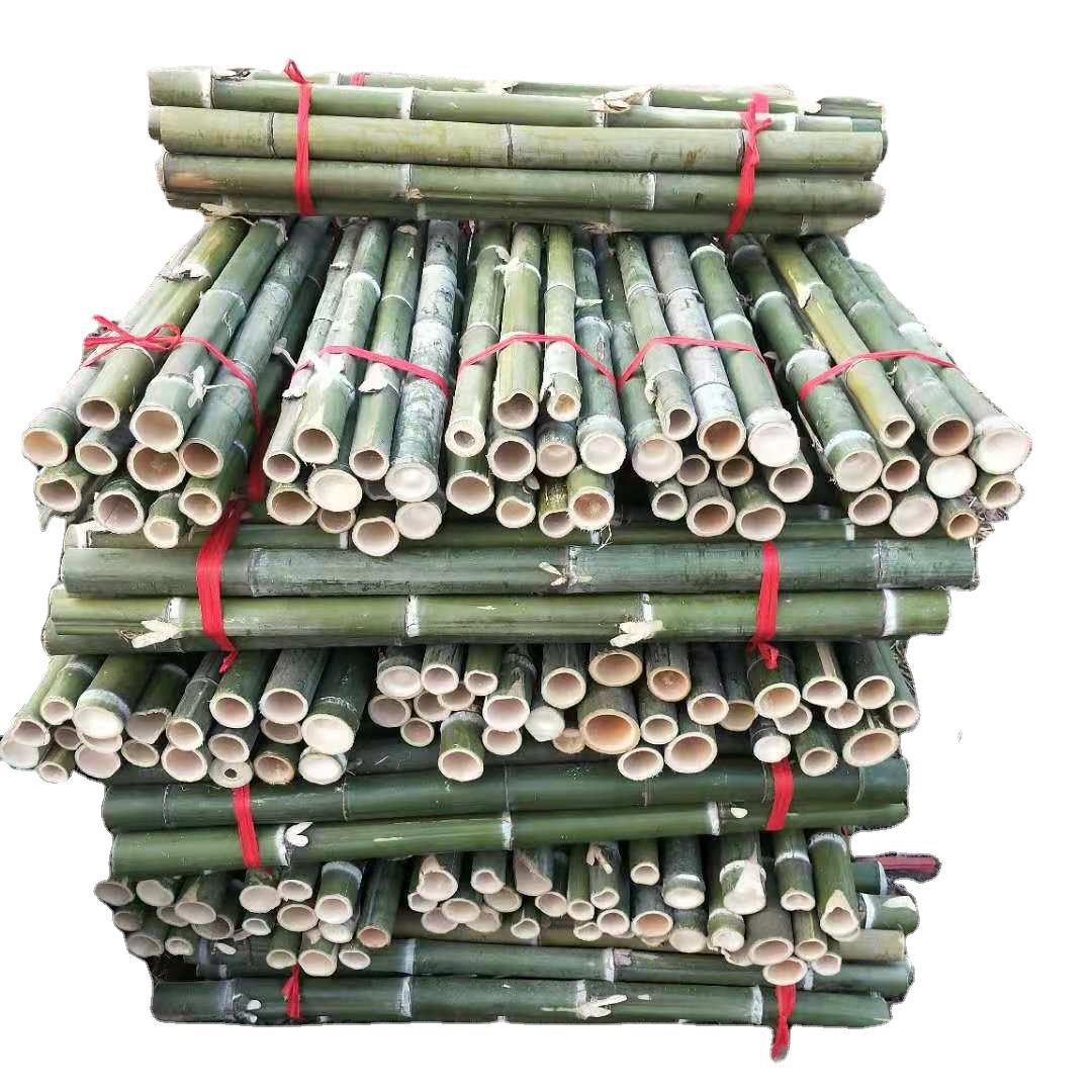 竹支撑厂家 树木支撑杆 毛竹稍 扁担撑长短粗细可定制