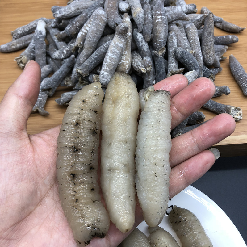 海参印尼野生秃参150头170头规格沙参明秃参500克干货白刺参批发