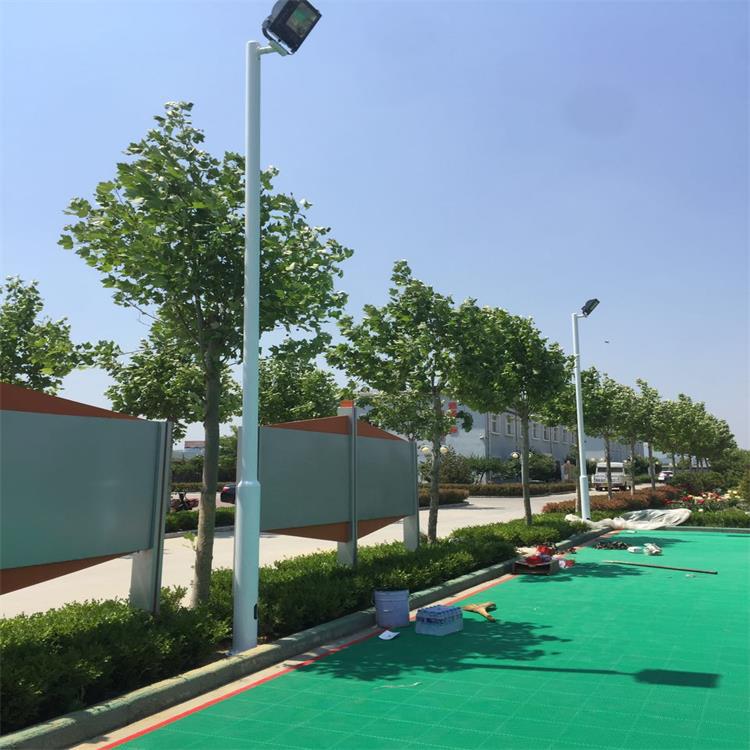 厂家批发篮球场灯杆 整体热镀锌喷塑灯柱 球场圆柱路灯杆
