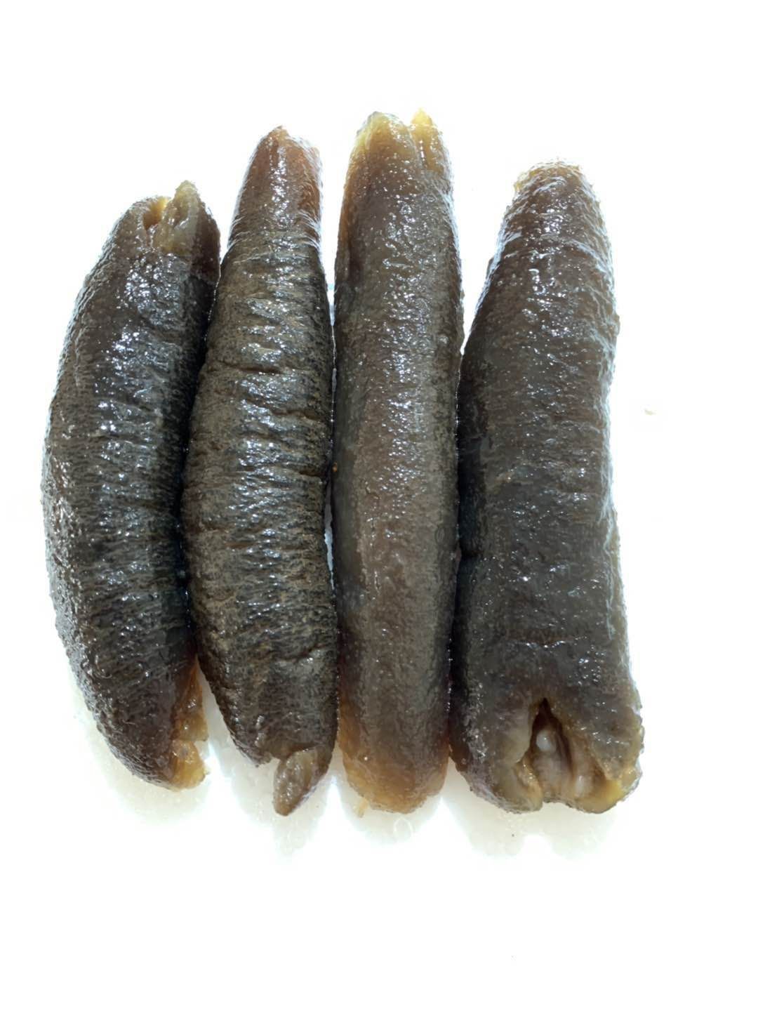 厂家直销冻干海参 冷冻水发赤虫参 速东酒店海鲜食材批发