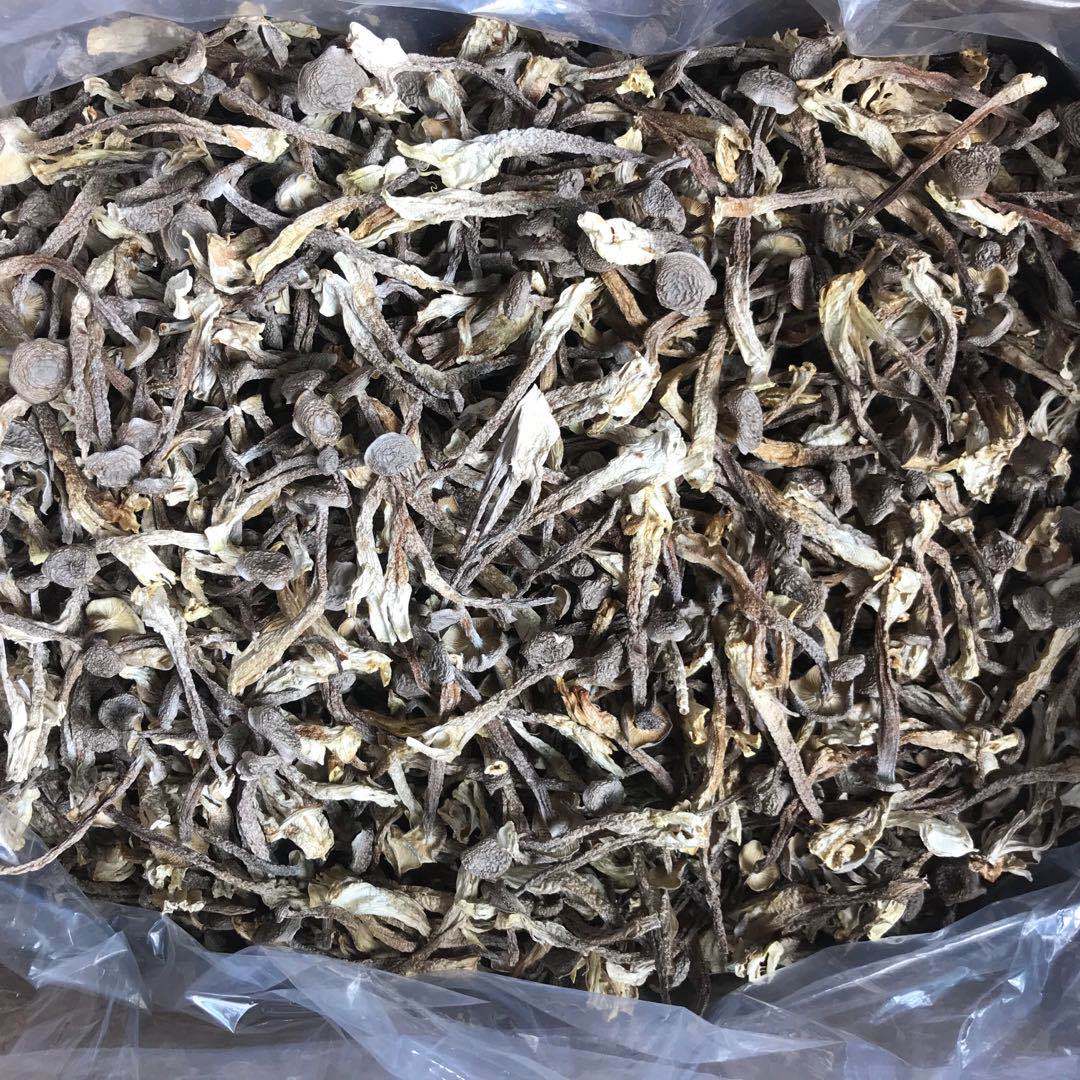 鹿茸菇鹿茸菌干货500g土特产农副产品食用菌酒店食材批发产地直供