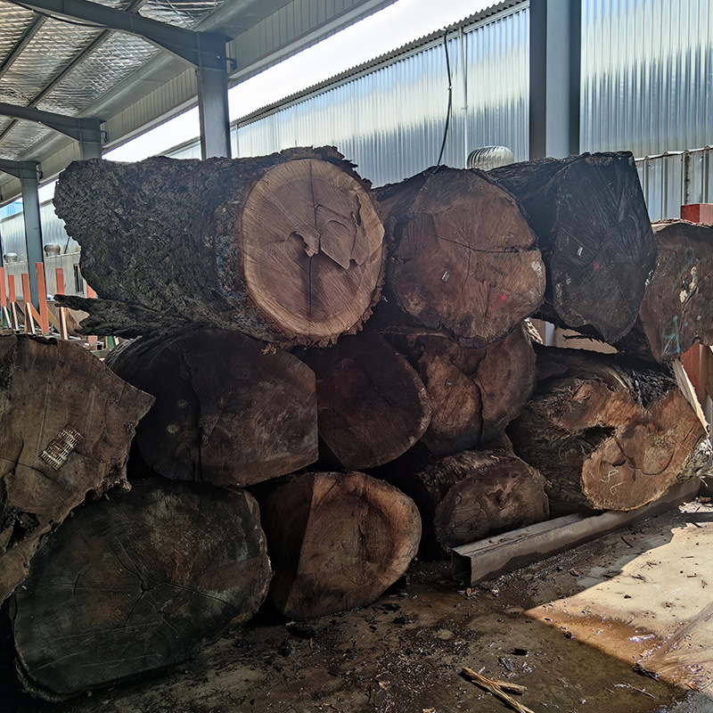黑胡桃大口径原木 美国北部原木木质家具材料批发 实木家具原木材