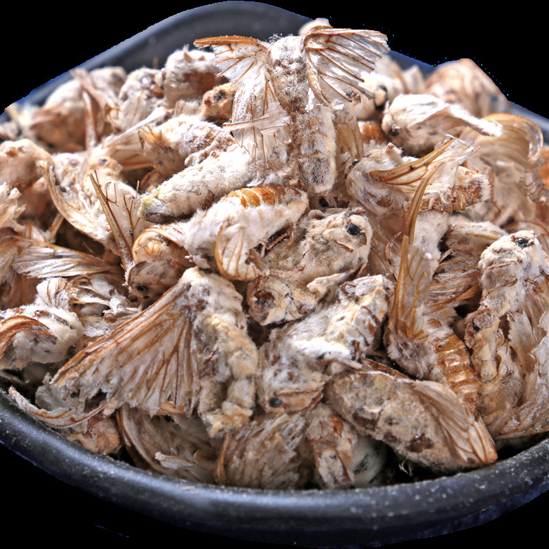 中药材批发 雄蚕蛾 原蚕蛾优质雄蚕蛾 晚蚕蛾 承接订单 量大从优