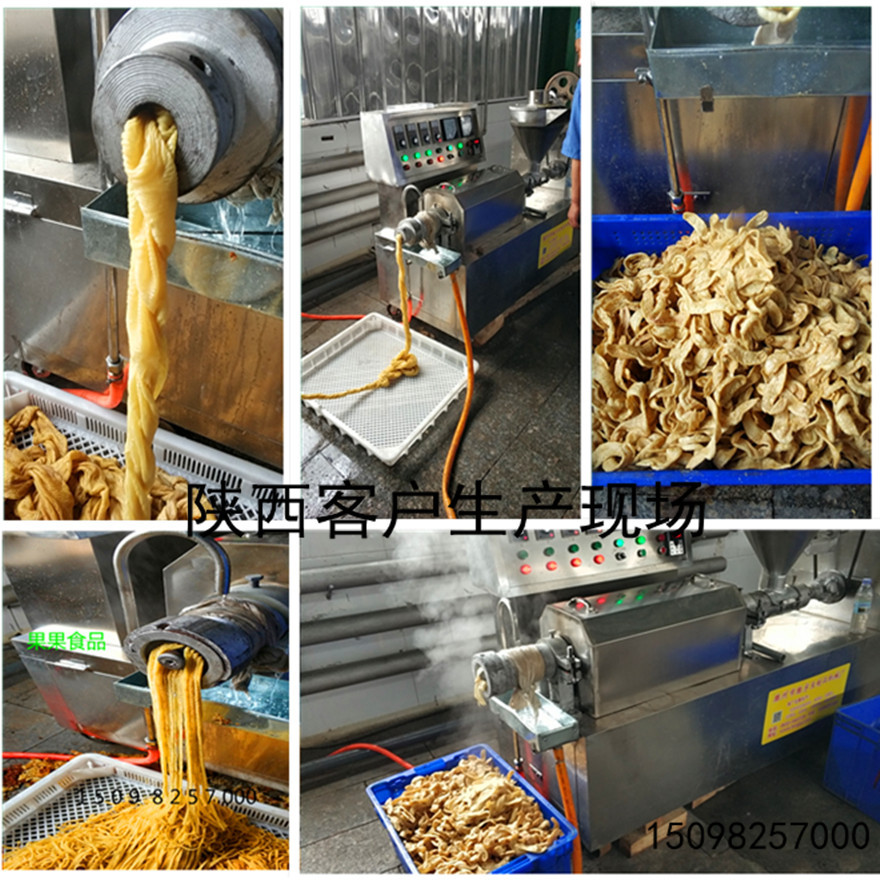 人造肉机器 小本创业豆制品工厂 可换不同的模具 生产素鸡翅 豆皮