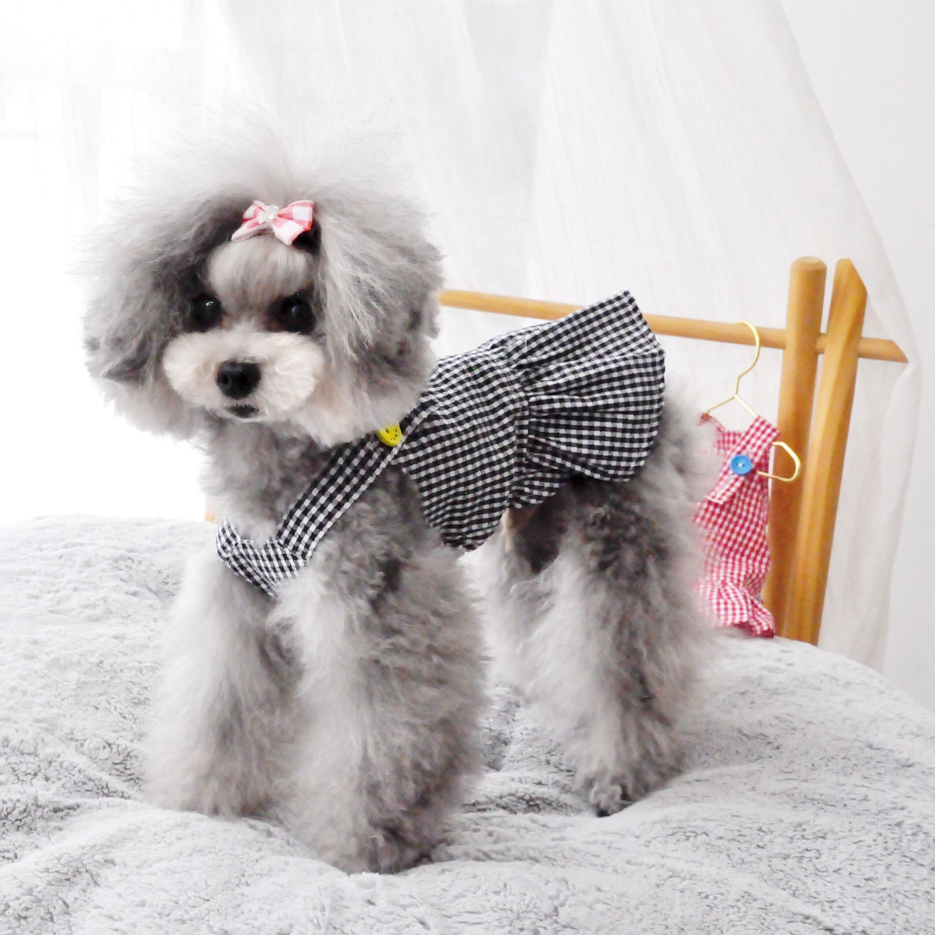 2020新款宠物衣服泰迪比熊狗狗猫咪夏装薄款格子纽扣连衣裙春夏