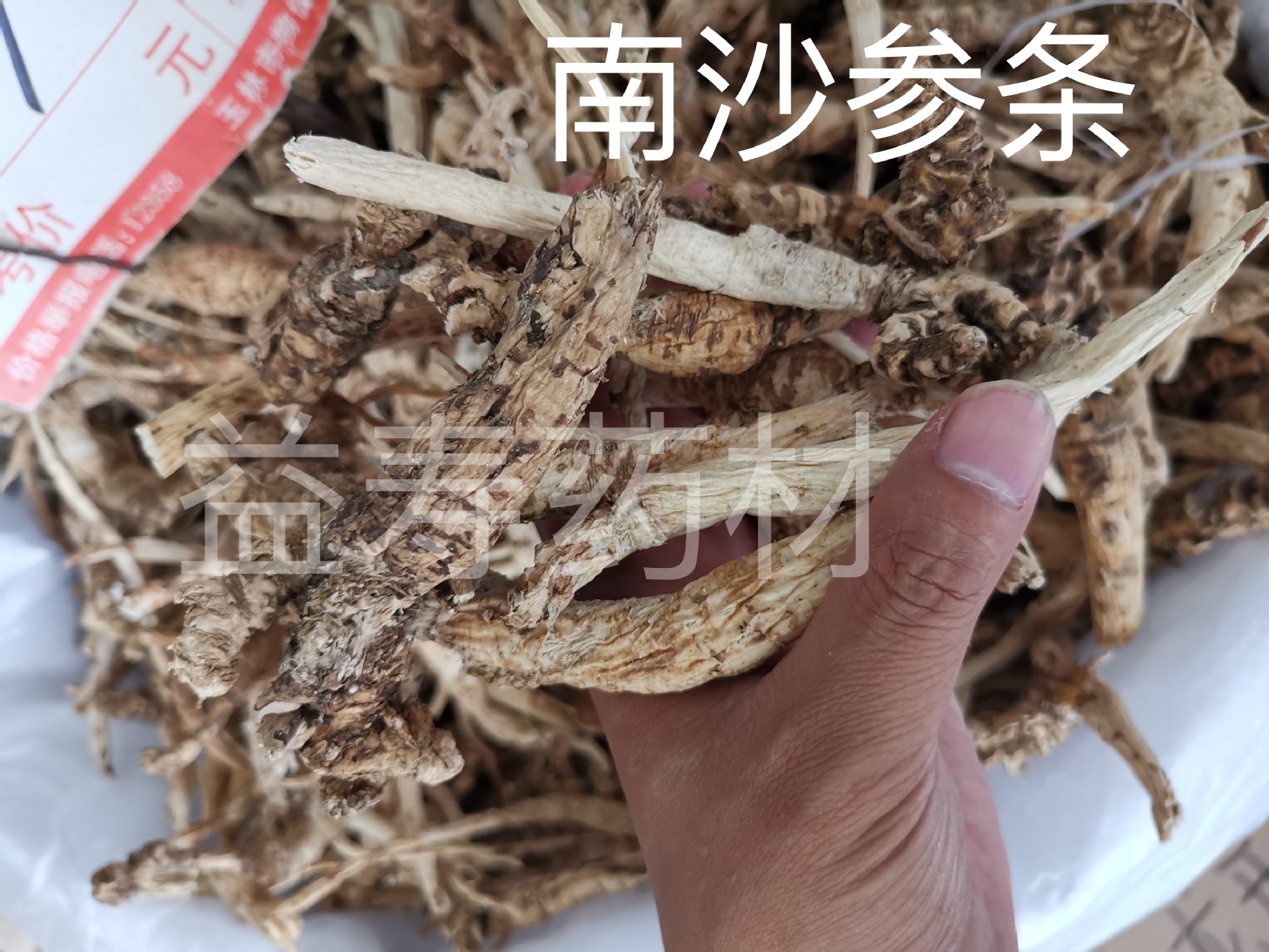 北沙参的功效与作用及食用方法_中华康网