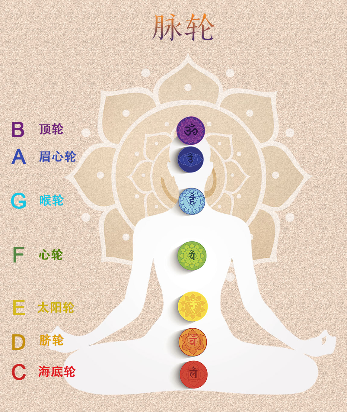 彩虹水晶钵6-14寸/彩虹音乐碗/冥想声疗/石英坩埚 瑜伽