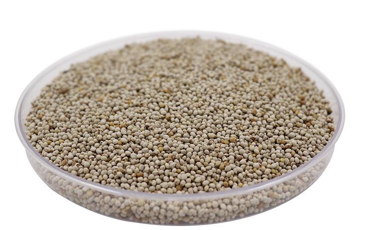 鸟粮3份包邮鸟食 苏籽苏子500克 芙蓉鸟 玉鸟鹦鹉 珍珠文鸟白苏子