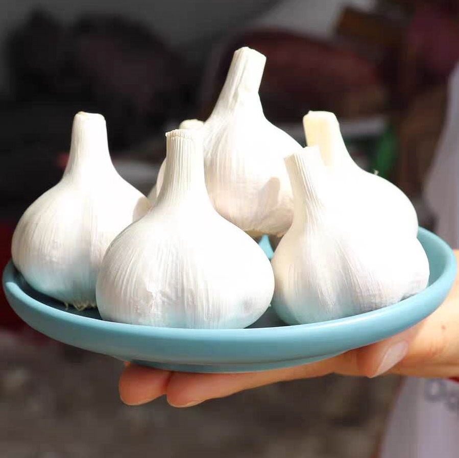 临沂市规格选择规格属性白皮蒜品种莊超食品品牌1000重量商品评价暂无