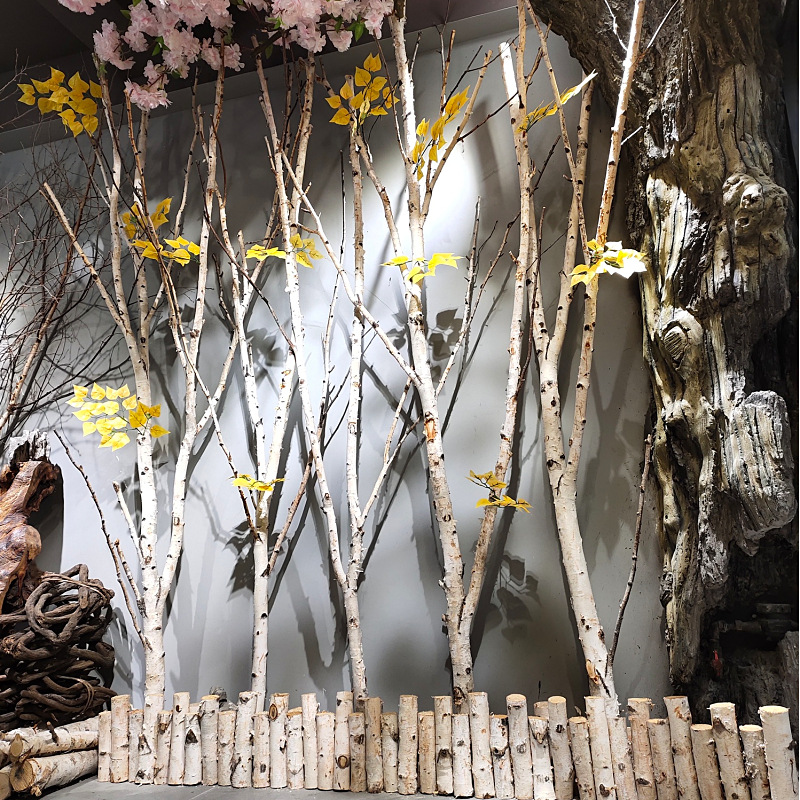 白桦树枝装饰摆件背景墙干枝禅意假树枝树干树枝干花树杈隔断创意