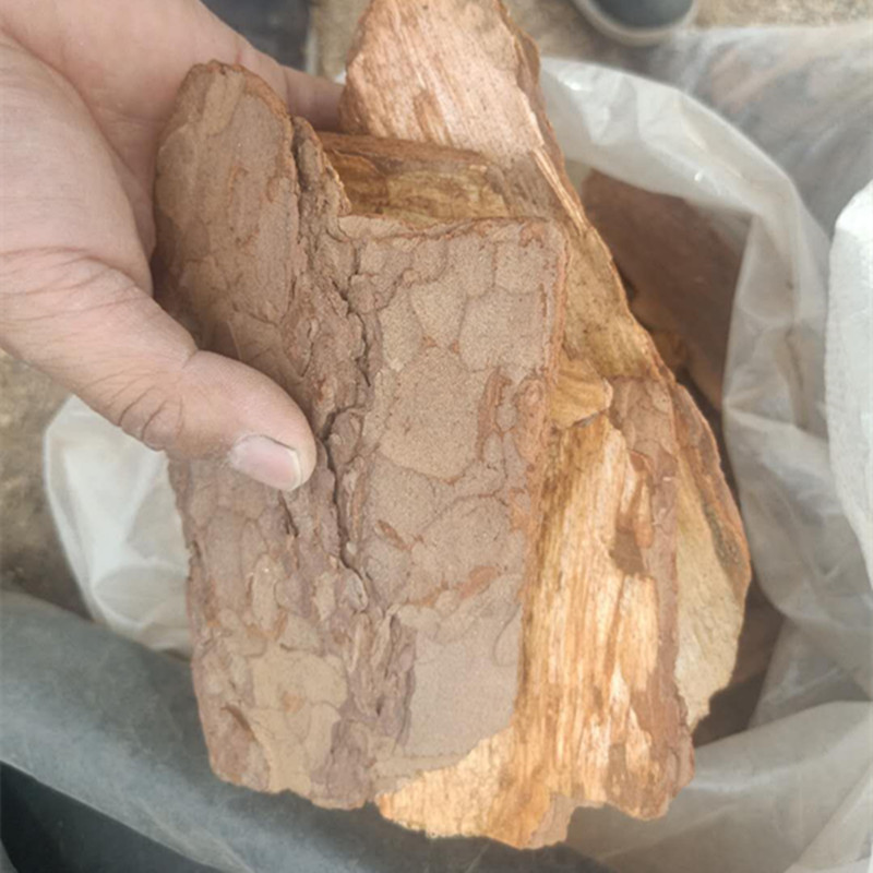 供应 腐熟发酵脱脂松鳞 松树皮 园林微景观松鳞
