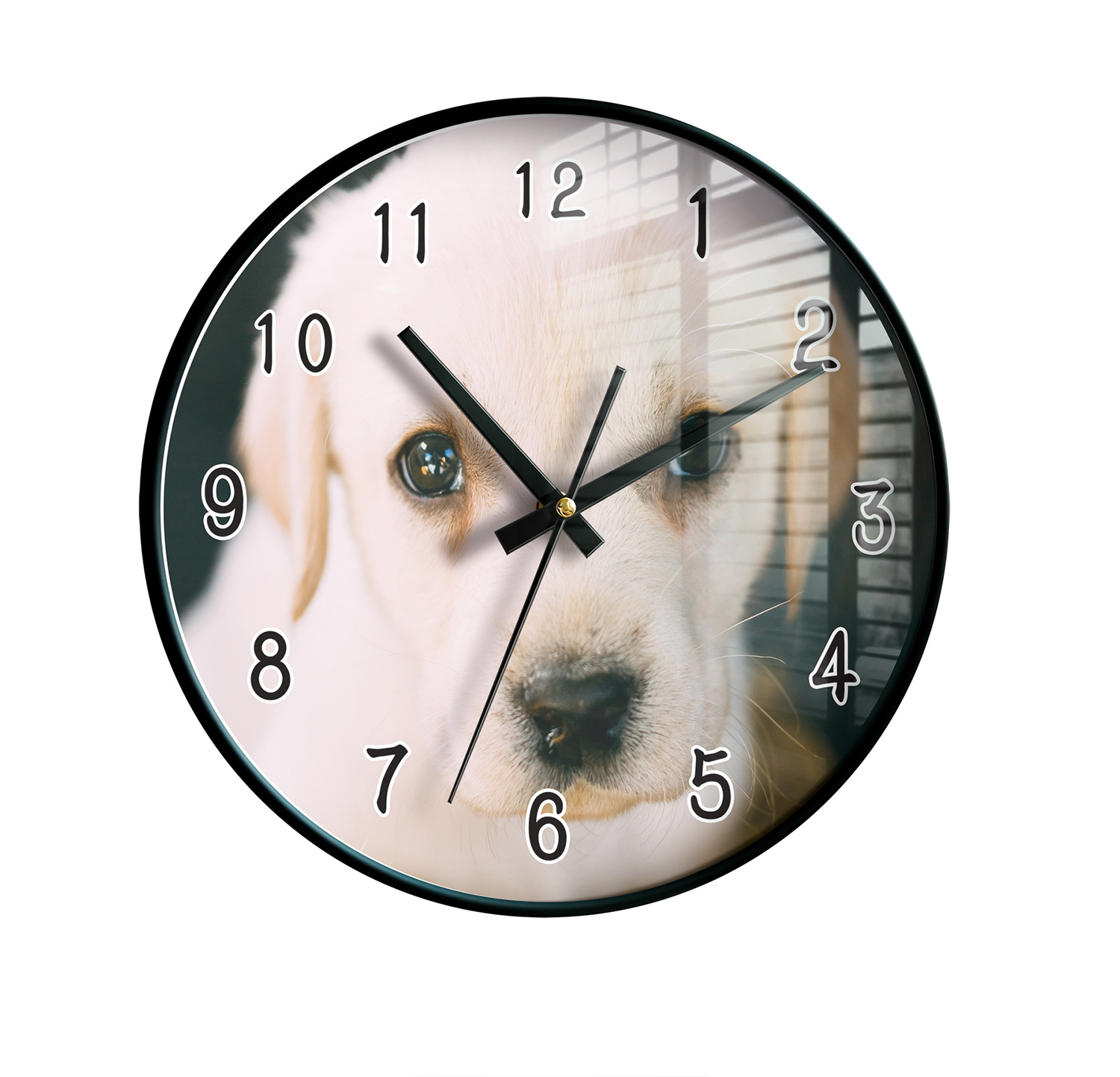 动物萌宠猫狗卧室办公家居装饰现代工艺静音超清画质创意挂钟定制