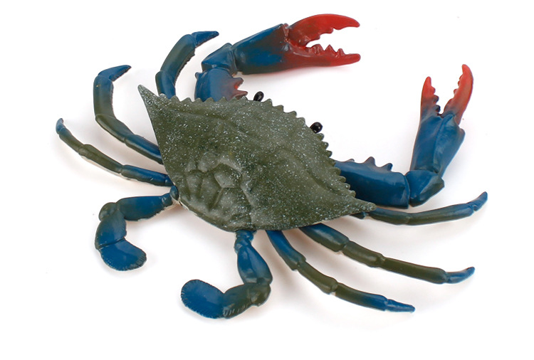 跨境仿真静态实心螃蟹模型套装椰子蟹莎莉蟹红花蟹绿螃蟹寄居蟹