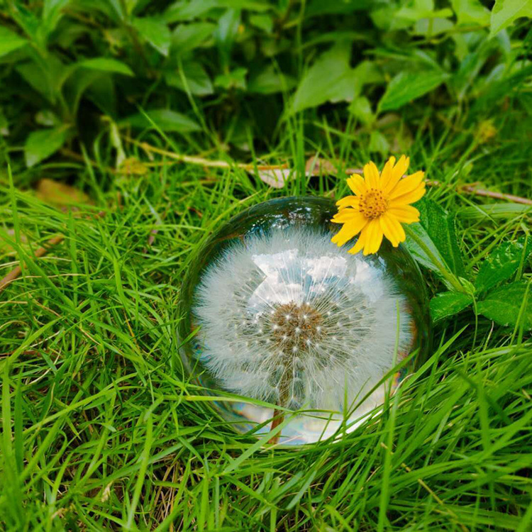 现货供应蒲公英水晶球 永生花植物标本 树脂水晶球工艺品摆件批发
