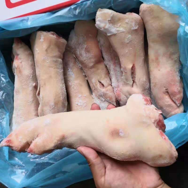 猪脚 猪后脚 猪蹄猪后脚 猪肉猪副10公斤均码货 原装正关货批发