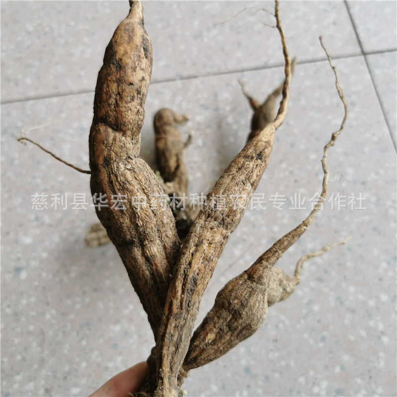 中药材土瓜根山苦瓜 野生王瓜根毛冬瓜批发产地直销500g