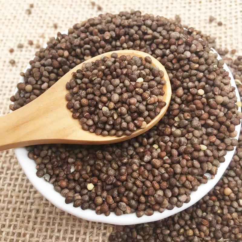 东北生紫苏籽新货紫苏子熟苏子粒烧烤烤肉月饼馅调料白芥子莱菔子