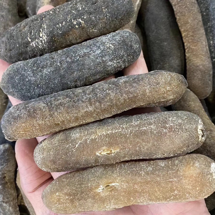 批发渠道深海天然野生海参澳洲光秃参秃参淡干海参产地直销