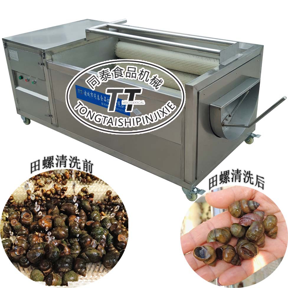 小田螺清洗机毛刷辊扇贝海螺牡蛎海蛎子清洗机洗海产品毛刷机